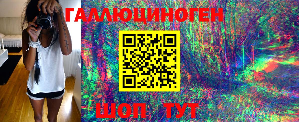 Дербент  Галлюциногенные грибы Psilocybine cubensis  Вход с VPN 